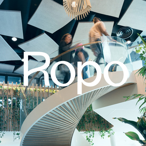 From Invoice Chaos to Cash Flow Control: The Ropo Approach