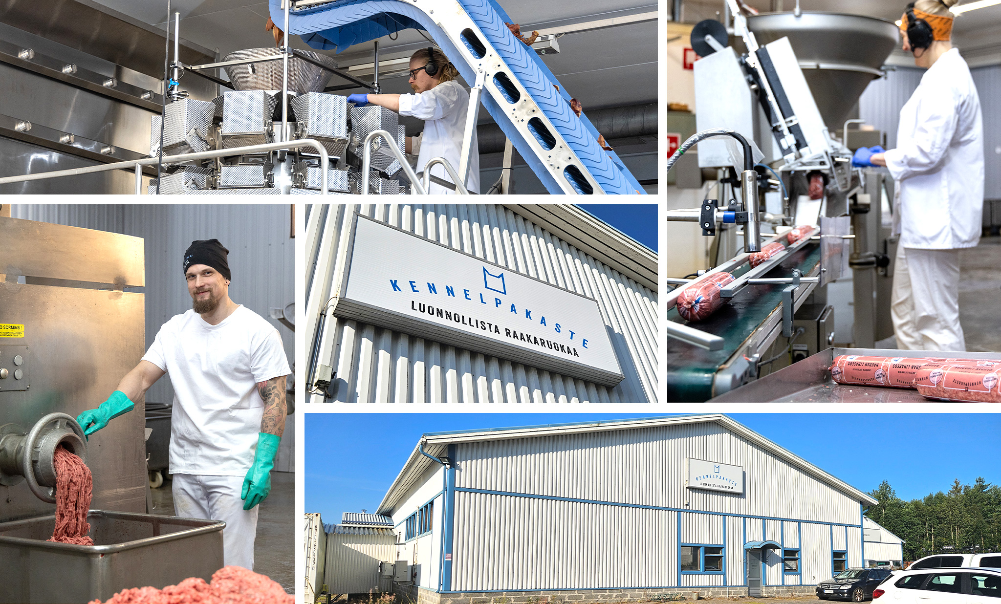 Kennelpakaste Streamlines Receivables Management with Ropo